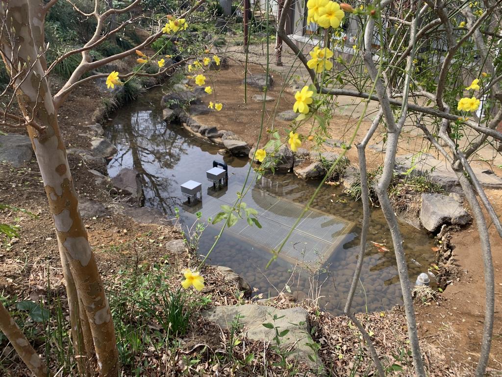 ビオトープの写真