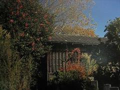 当時の木造平屋住戸の写真