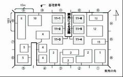 枝番号の例