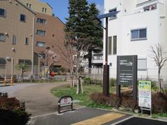 もみじ公園の写真