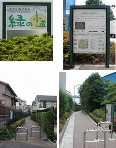 緑の小道の写真