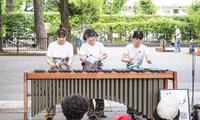 どやどや楽団1