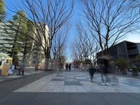 けやき広場の様子