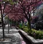 桜新町駅周辺
