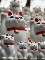 マネキネコ