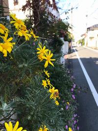 奥沢3丁目花