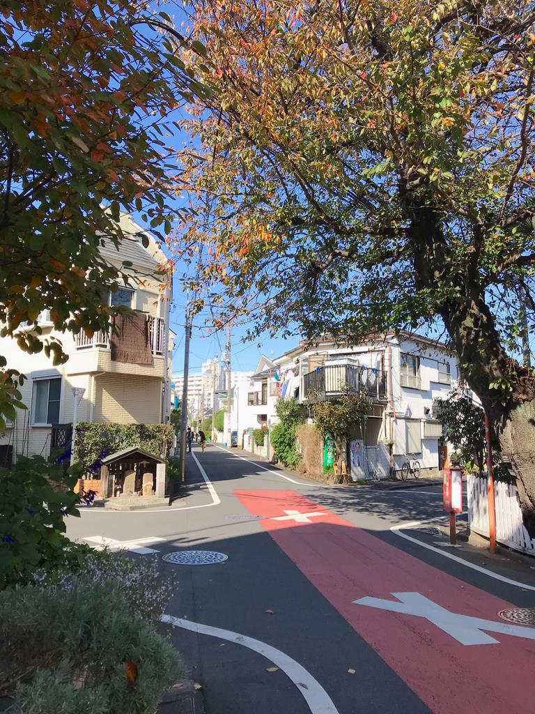 奥沢1・3丁目斜めの道・道祖神・桜