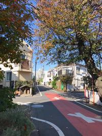 奥沢1・3丁目斜めの道・道祖神・桜