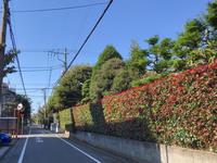 奥沢2丁目みどり