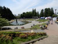 世田谷公園の写真