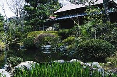 深沢の屋敷林