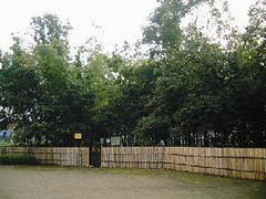 喜多見5-21遊び場の竹山緑地