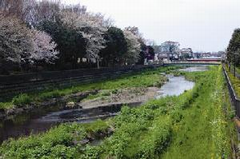 喜多見大橋から見た野川上流の眺め