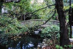 つりがね池と樹林