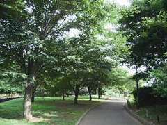 祖師谷公園