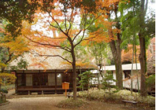 文豪の住まいと雑木林のある蘆花恒春園