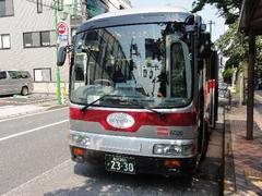 玉堤循環路線バス（タマリバーバス）の写真