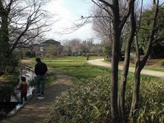 次大夫堀公園の写真
