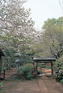 北烏山9丁目・屋敷林の写真