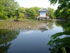 烏山弁天池の写真