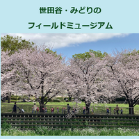 フィールドミュージアム