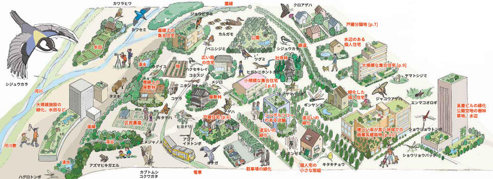 世田谷の生きものとみどりの関係