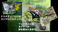 勉強編のサムネイル