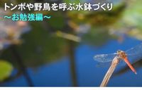 水鉢勉強編のサムネイル