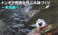 水鉢実践編のサムネイル