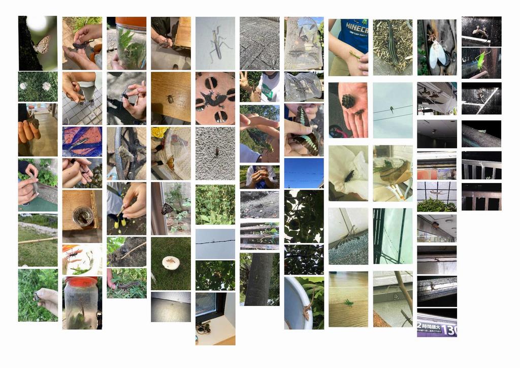 2022写真一覧2