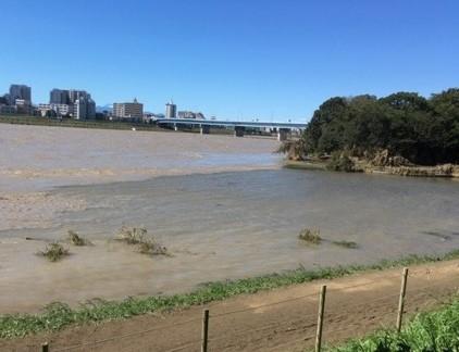 tamagawa