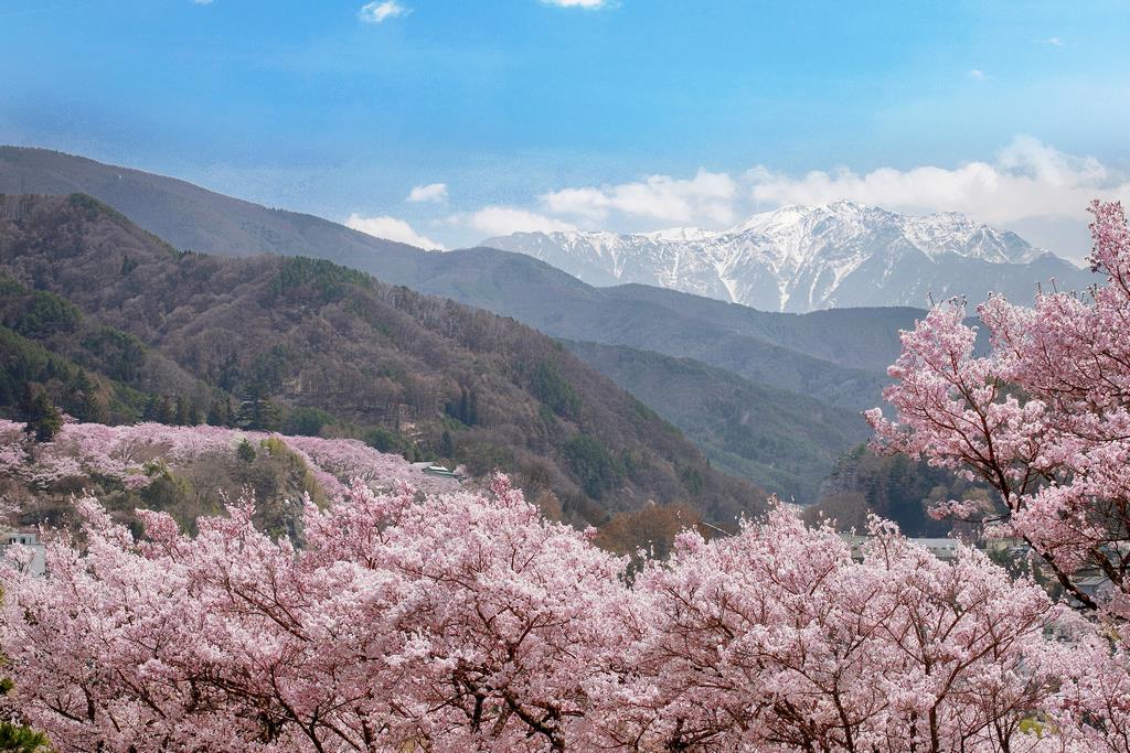高遠城址遠景