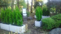 世田谷公園指定喫煙場所