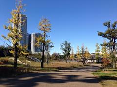 二子玉川公園の写真