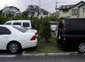 駐車場緑化の写真