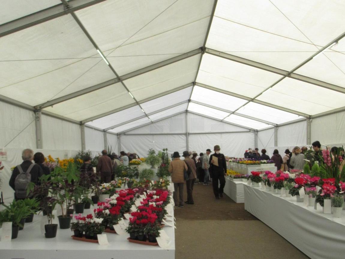 花展覧会の一般観覧の様子