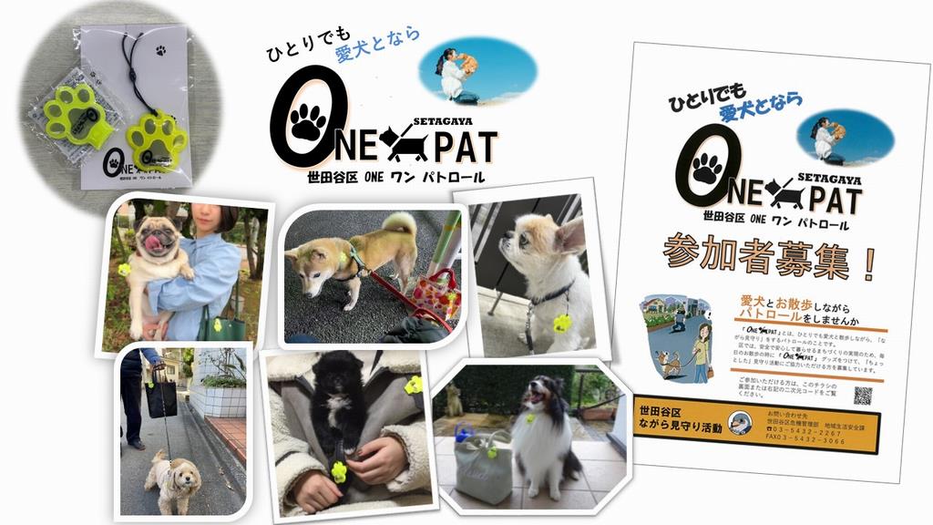 ワンパト紹介画像
