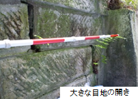 目地