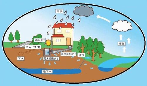 浸透循環の図