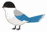 区の鳥オナガ