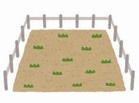土地のイラスト