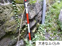 ふくらみ