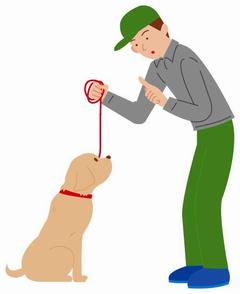 犬のしつけのイラスト