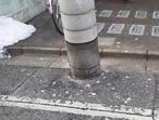 糞で汚れた道路の写真