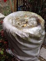 防水シートに溜まる水