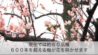 施設・公園紹介のサムネイル画像