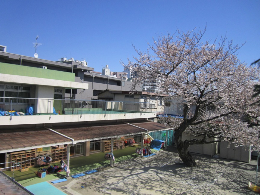 園庭の画像