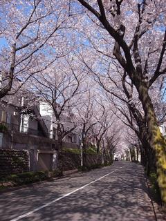 みどりが輝くための仕事があります
