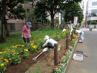 令和5年7月お花ひろば