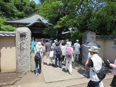 国分寺を歩いています